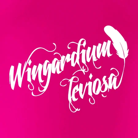 Harry - Wingardium Leviosa