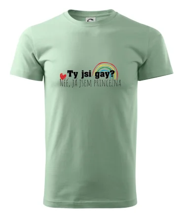 Gay princezna