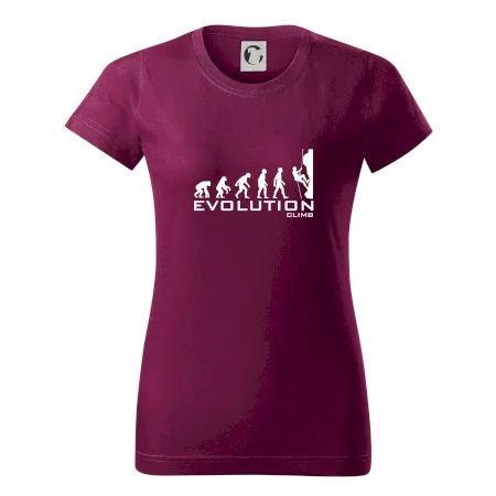 Evolution Climb
