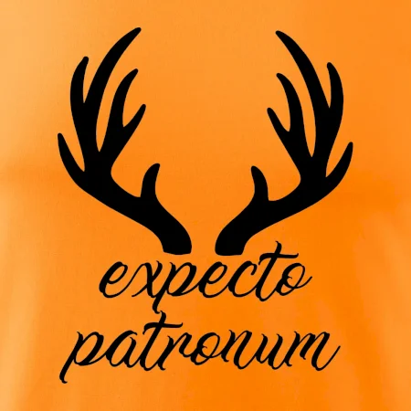 Harry - Expecto patronum