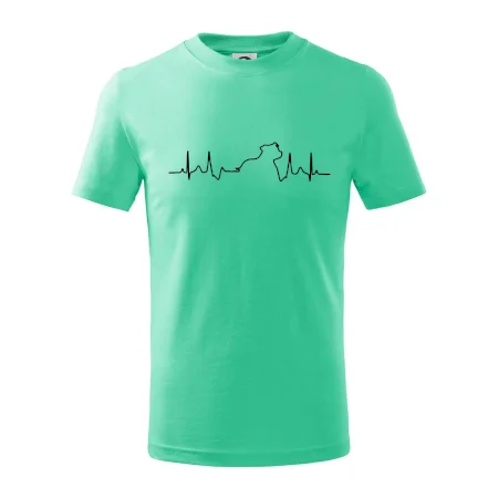 Stafordšírsky bulteriér ‎ EKG