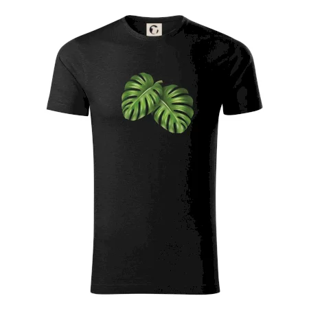 Monstera - dva listy