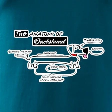 Jazvečík - Anatómia