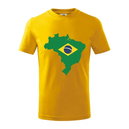Brazília vlajka v mape