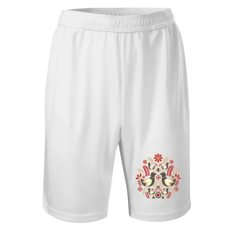 Folklór - hnedé vtáčiky