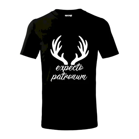 Harry - Expecto patronum