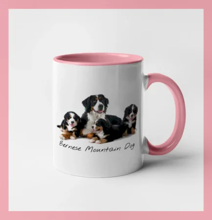Bernese mountain dog celá rodina