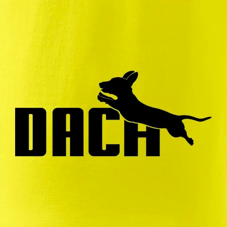 Jazvečík Dach