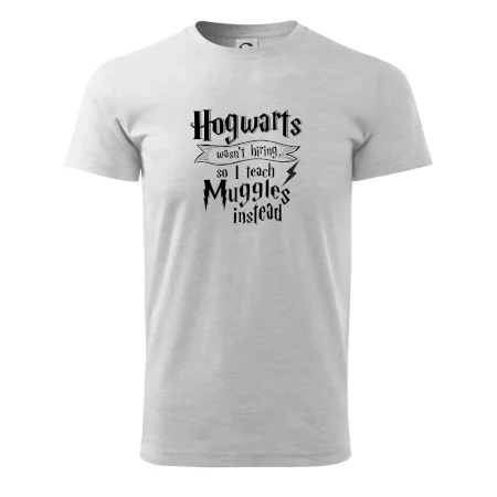 Harry - Hogwarts wasn’t hiring, so I teach Muggles instead