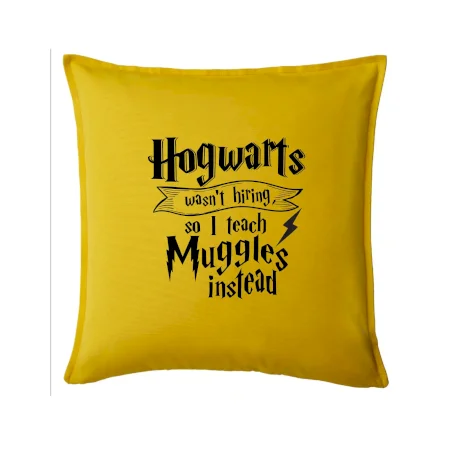 Harry - Hogwarts wasn’t hiring, so I teach Muggles instead