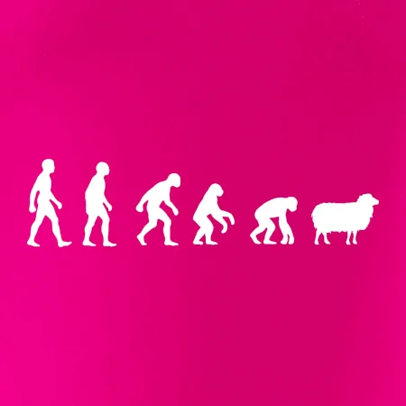 Evolúcia ovce