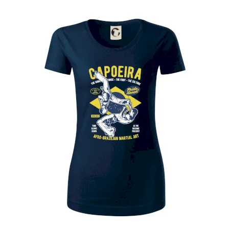 Capoeira  Afro-brazil art