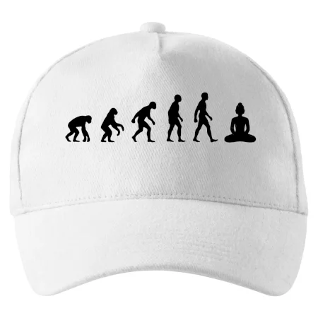 Evoluce budha