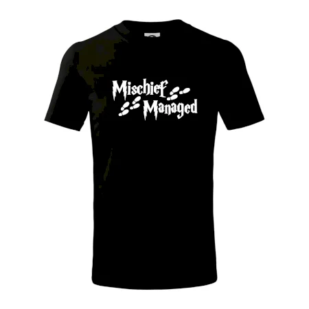 Harry - Mischief Managed