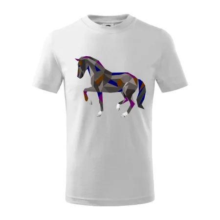 Kôň geometria farebný