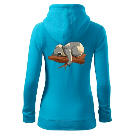 Koala na vetve