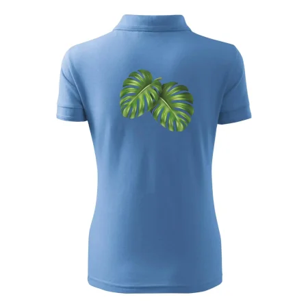 Monstera - dva listy