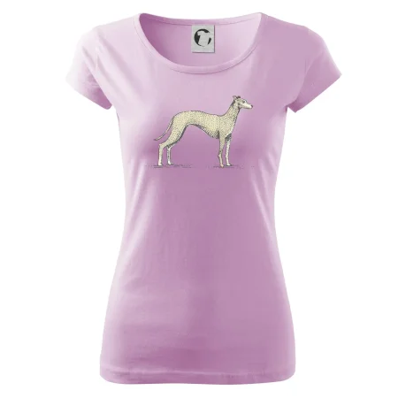 Vintage Whippet