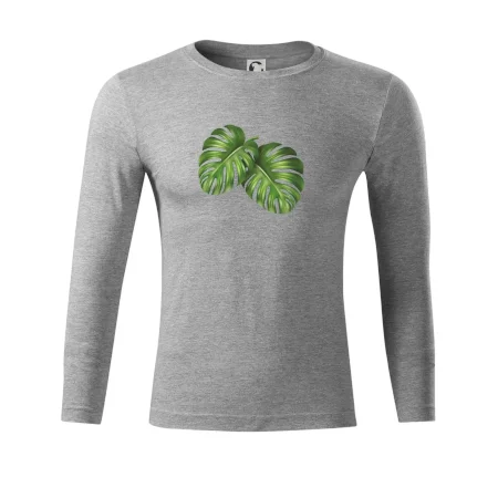 Monstera - dva listy
