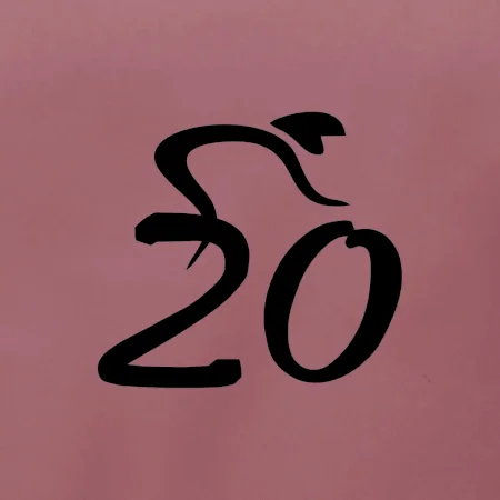 Cyklista oslavuje dvadsiatku (20)