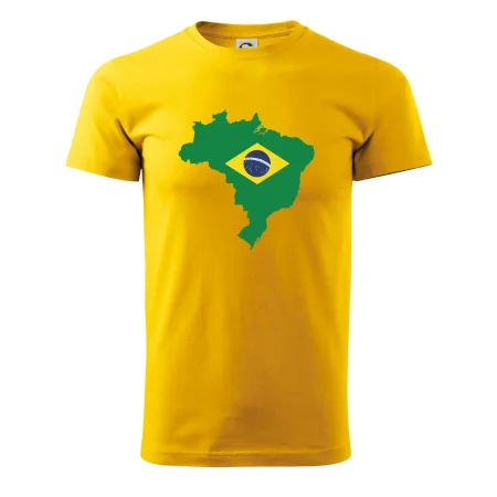 Brazília vlajka v mape