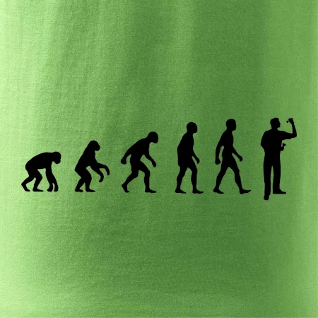 Evolúcia šípky