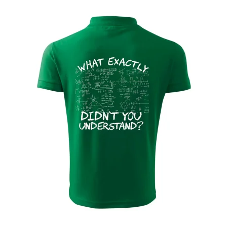 What exactly didn't you understand - physics