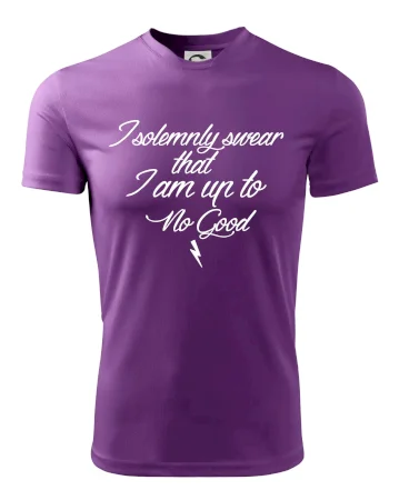 I solemnly swear that I'm up to no good