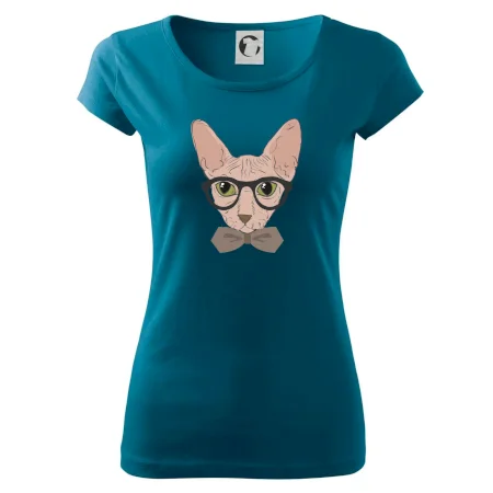Hipster sphynx