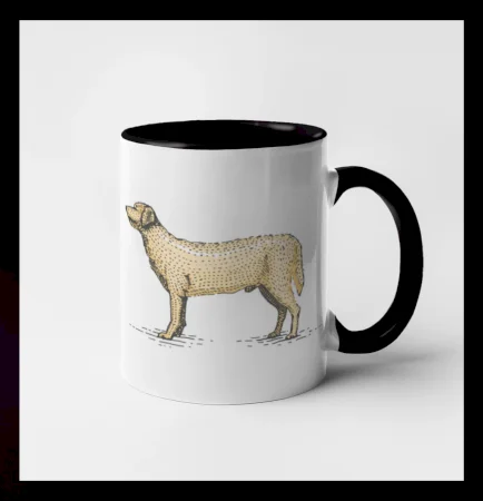 Vintage Labrador