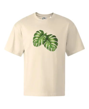 Monstera - dva listy