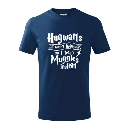 Harry - Hogwarts wasn’t hiring, so I teach Muggles instead