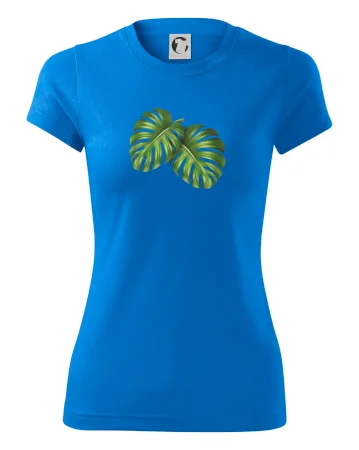 Monstera - dva listy