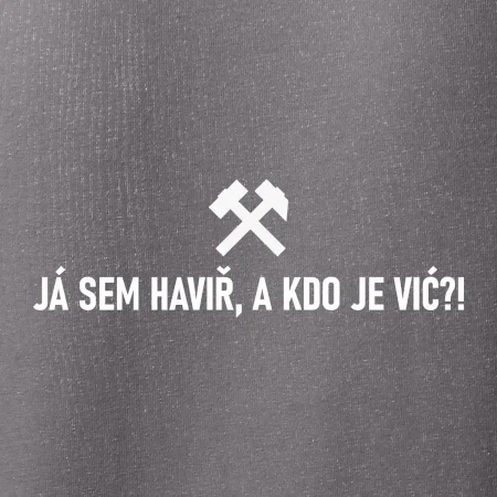 JÁ SEM HAVIŘ, A KDO JE VIĆ?!﻿