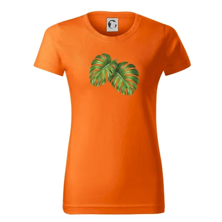 Monstera - dva listy