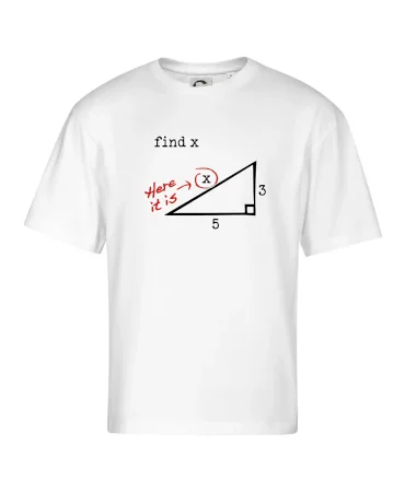 Find X - geometria