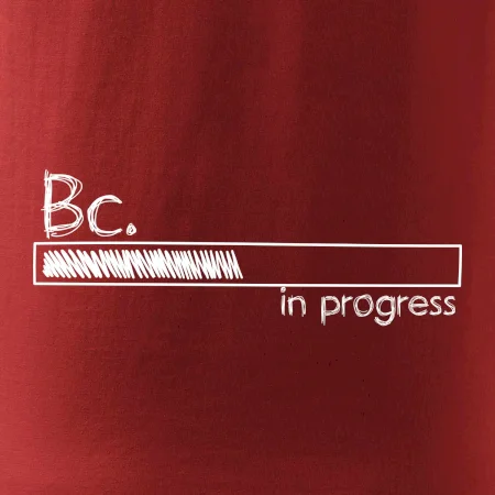 In progress titul Bc. bakalár / bakalárka