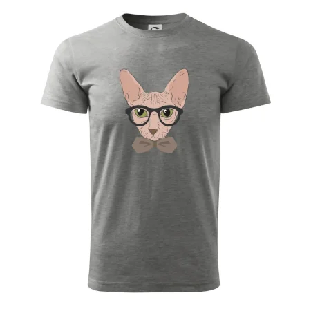 Hipster sphynx