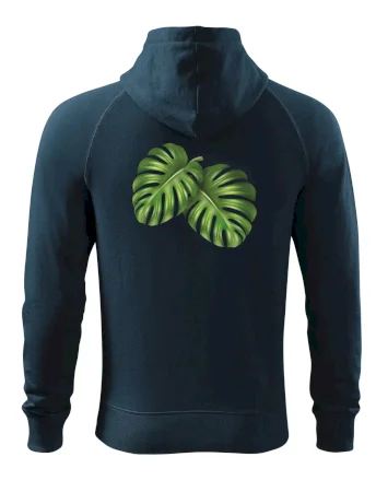 Monstera - dva listy