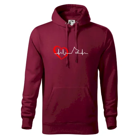 Nemecký ovčiak ekg