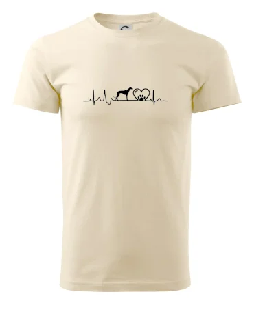 Chrt - Ekg