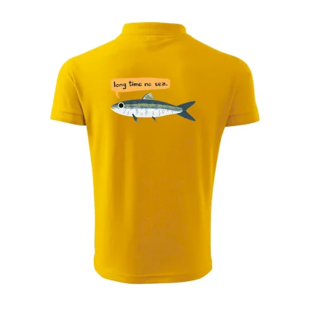 Long time no sea