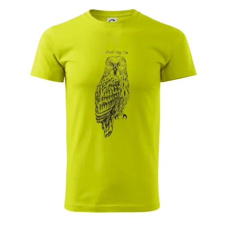 Sova bradatá Barred owl