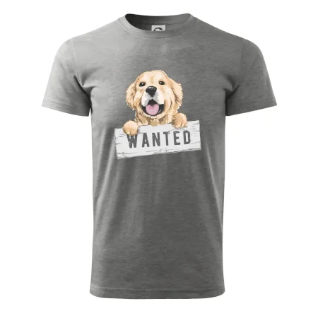 Zlatý retriever - šteniatko wanted