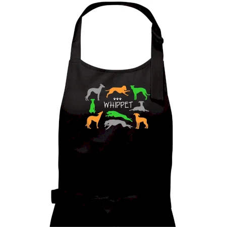Whippet farebný