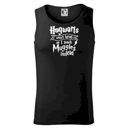 Harry - Hogwarts wasn’t hiring, so I teach Muggles instead