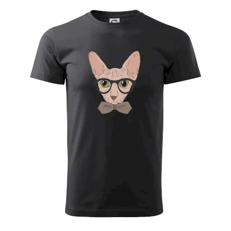 Hipster sphynx
