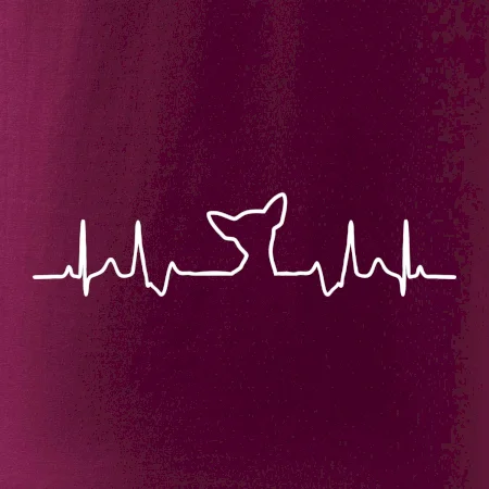 Čivava EKG