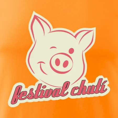 Festival chutí