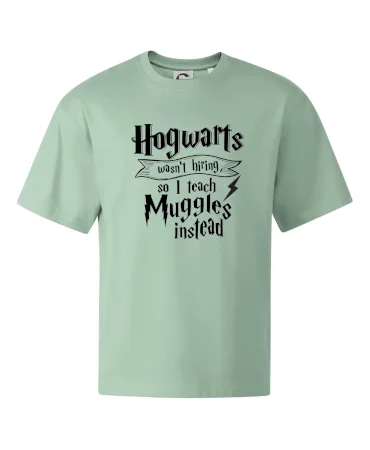 Harry - Hogwarts wasn’t hiring, so I teach Muggles instead